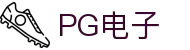 pg电子官方网站